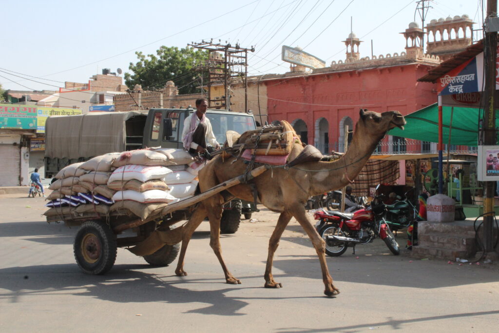 Bikaner