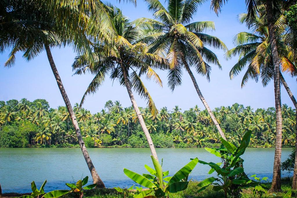 Backwaters in Kerala