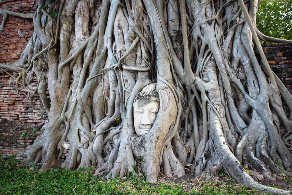 Ayutthaya from Bangkok