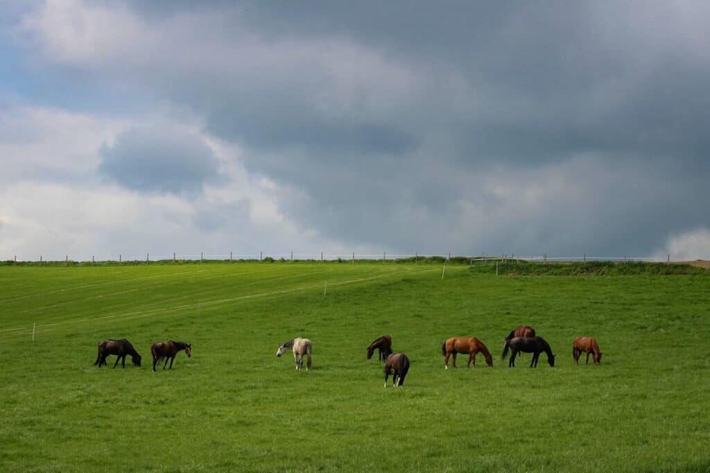 German countryside in Bavaria